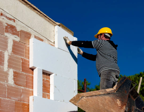 Best Wall Insulation Contractor  in Ojai, CA