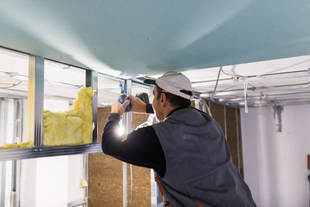 Best Insulation Installation Cost  in Ojai, CA