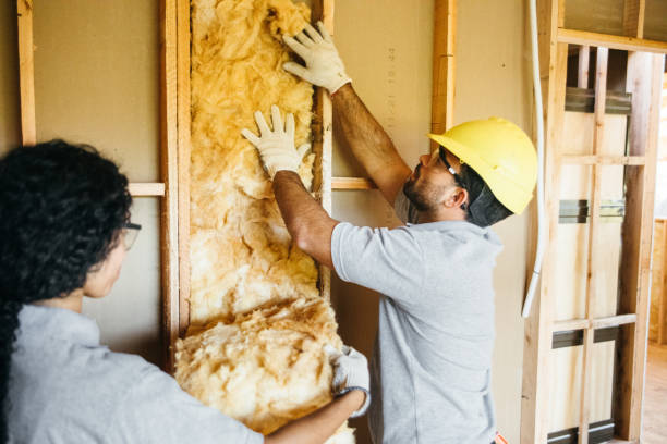 Best Spray Foam Insulation  in Ojai, CA